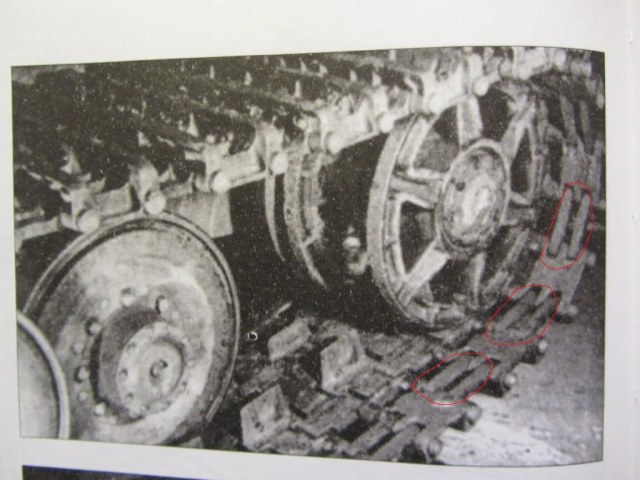 IMG_0266 [1024x768].JPG